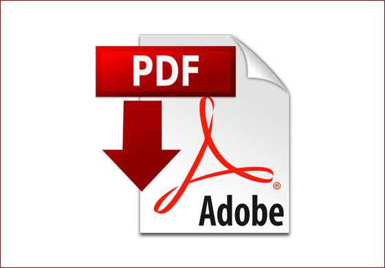 Portfolio name